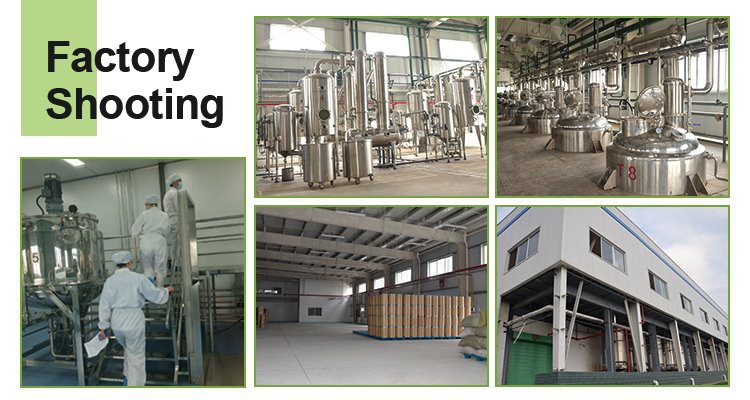 factory