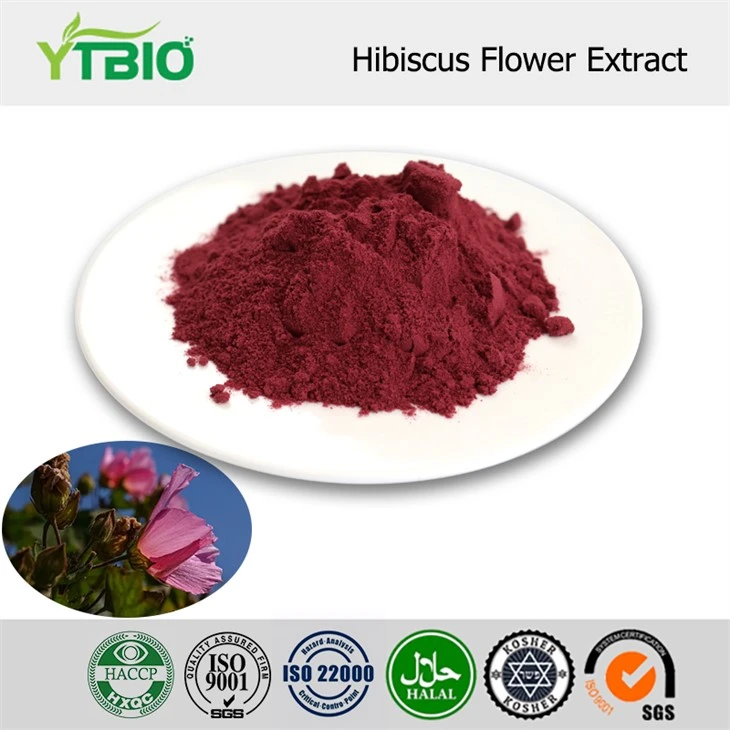 Hibiscus blómaþykkni duft