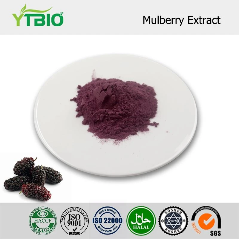Mulberry þykkni duft